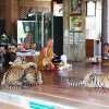 Templo del Tigre Tailandia 09
